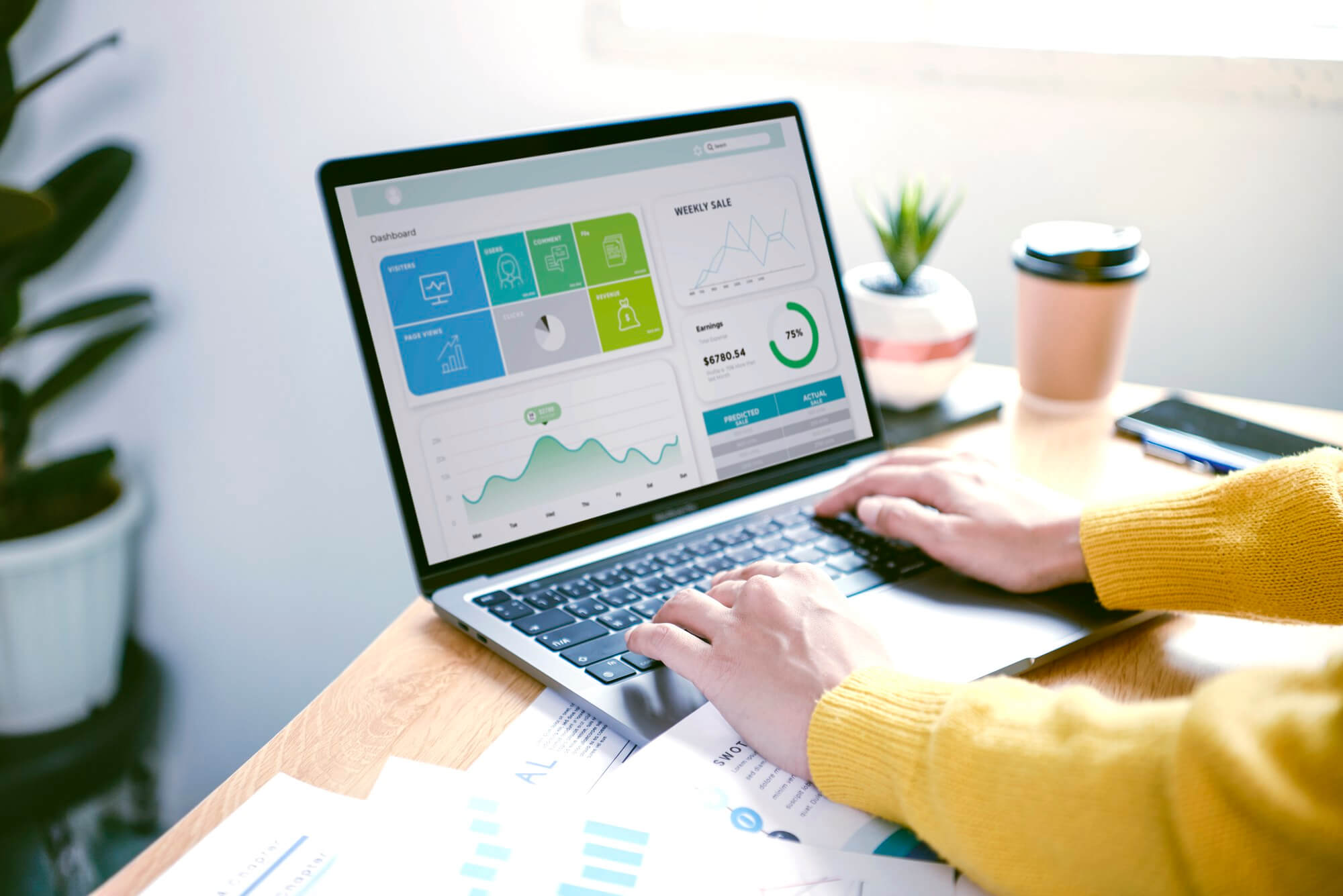 Computerised Accountancy systems